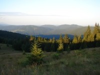 Z Hali Rycerzowej - widok na pasmo graniczne, wiedzie nim zalesiony szlak aż po przełęcz Glinkę, a dalej: na Krawców Wierch i Trzy Kopce.