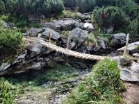 Mostek i krystalicznie czysty potok
